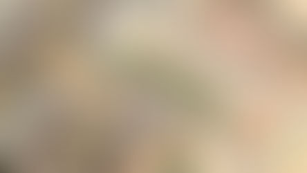 The "Max Power" Approach to Regulations, Redux