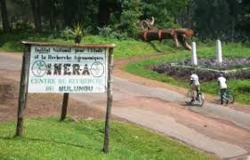 Miti: Une dépouille mortelle découverte à l’INERA Mulungu