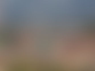 Mwenga : Deux voleurs attrapés en flagrance dans une maison de change et de transfert d'argent