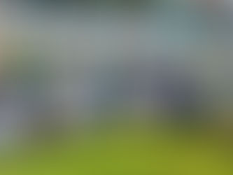 Mois vert à Bukavu : La population appelée à s’approprier la campagne pour redorer à la ville son image datant (Prof. Pascal MASILYA)