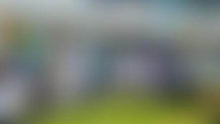 Mois vert à Bukavu : La population appelée à s’approprier la campagne pour redorer à la ville son image d'antan (Prof. Pascal MASILYA)