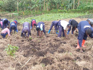 Minova : L’organisation ESAD occasionne la résilience des jeunes à travers l’entrepreneuriat