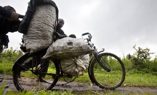 Kamanyola : Les transporteurs de fardeaux à vélo incapables de survivre suite à la crise économique