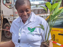 Bukavu : La DDC s’en vas en guerre contre la pollution de l’environnement à travers sa campagne «Mois Vert »