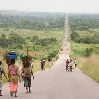 Sud-Kivu : Le manque des semences, un défi majeur pour reprendre les activités agricoles dans la plaine de la Ruzizi