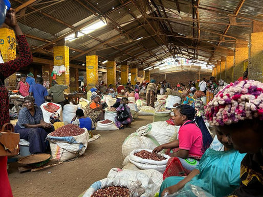 Sud-Kivu : Les activités génératrices de revenus, utiles pour pérennisation et la résilience communautaire