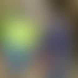 Sud-Kivu : La prise en charge professionnelle est nécessaire pour promouvoir la résilience aux personnes affectées par les conflits