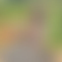 Mudusa : La Société Civile dénonce l'utilisation des enfants dans les carrières de pierres