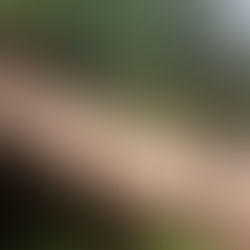 Kadutu : Délabrement très avancé du pont à l’entrée de l’ISDR