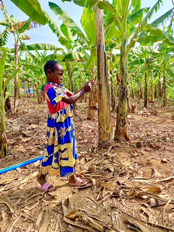 The beauty of Africa