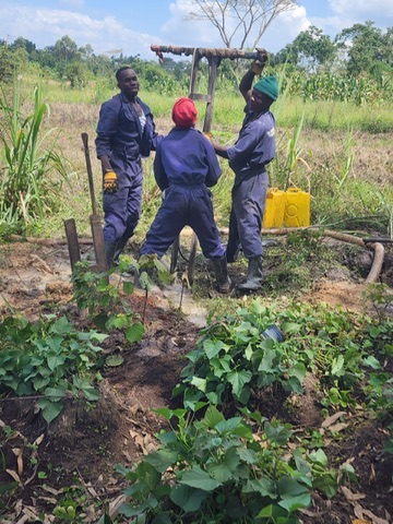 Victory garden growing alongside the well