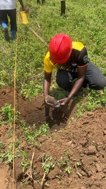 Kelly and staff planting