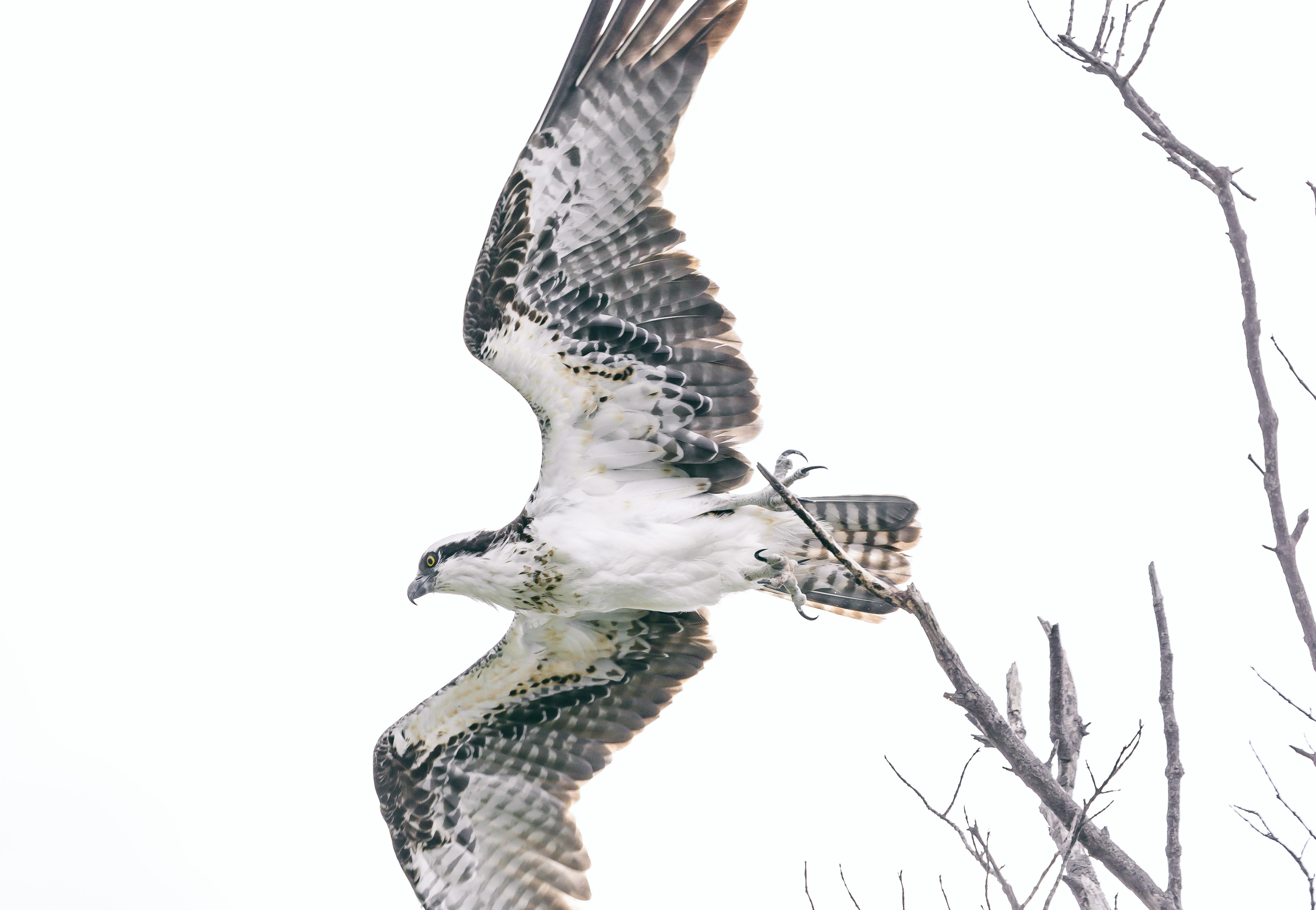 On the move A