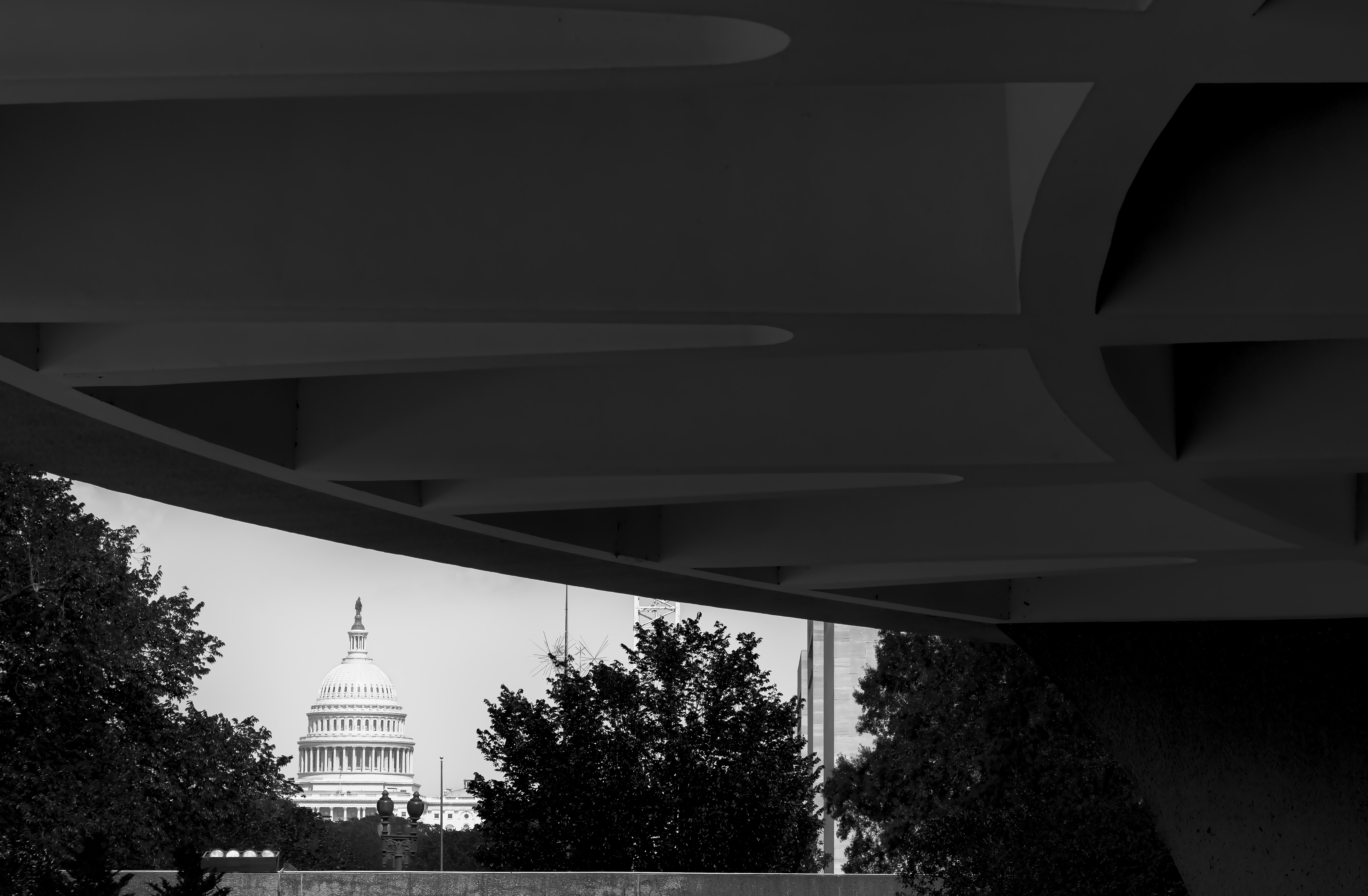 Art & Politics