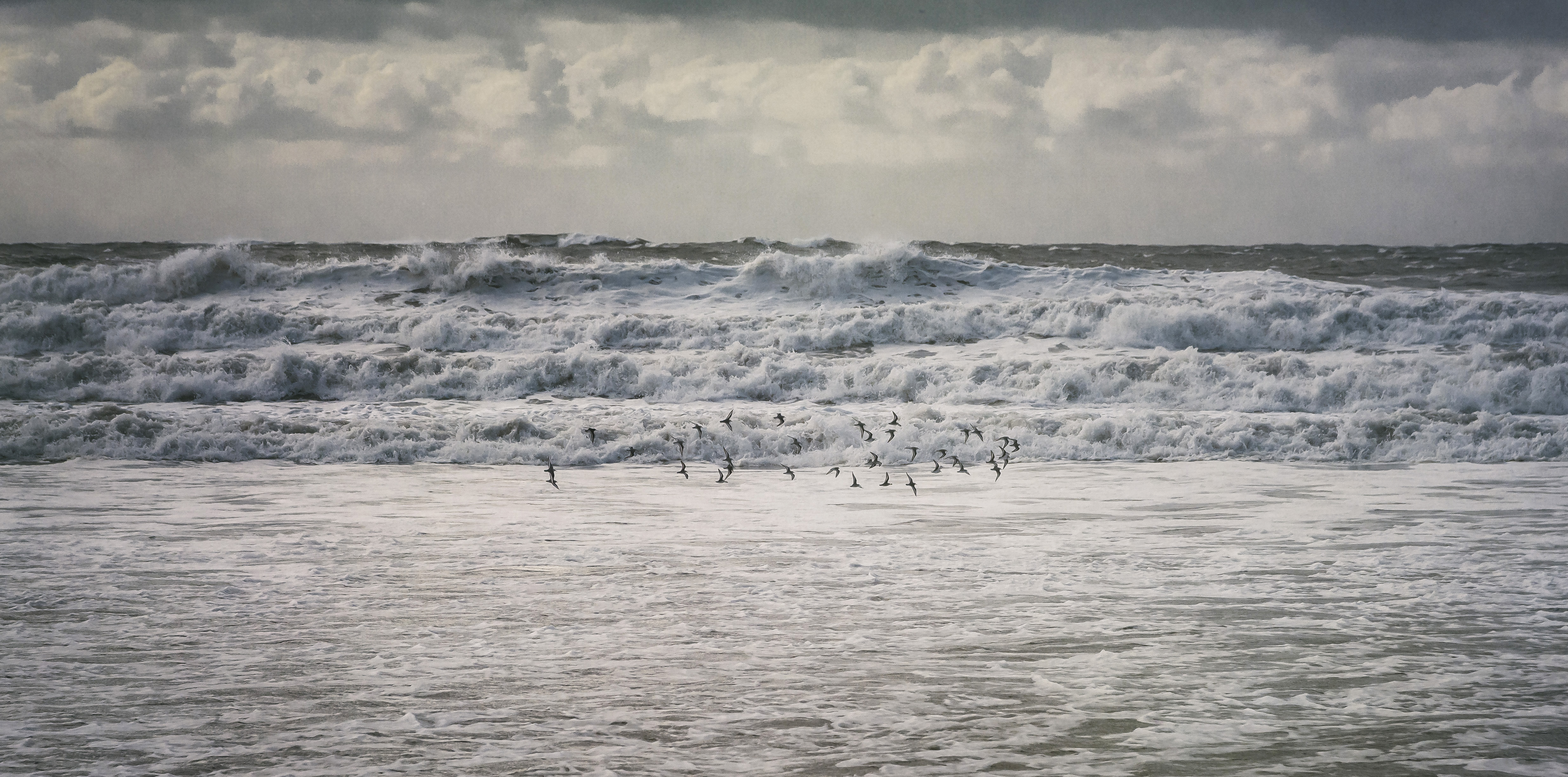 Racing the surf A T C