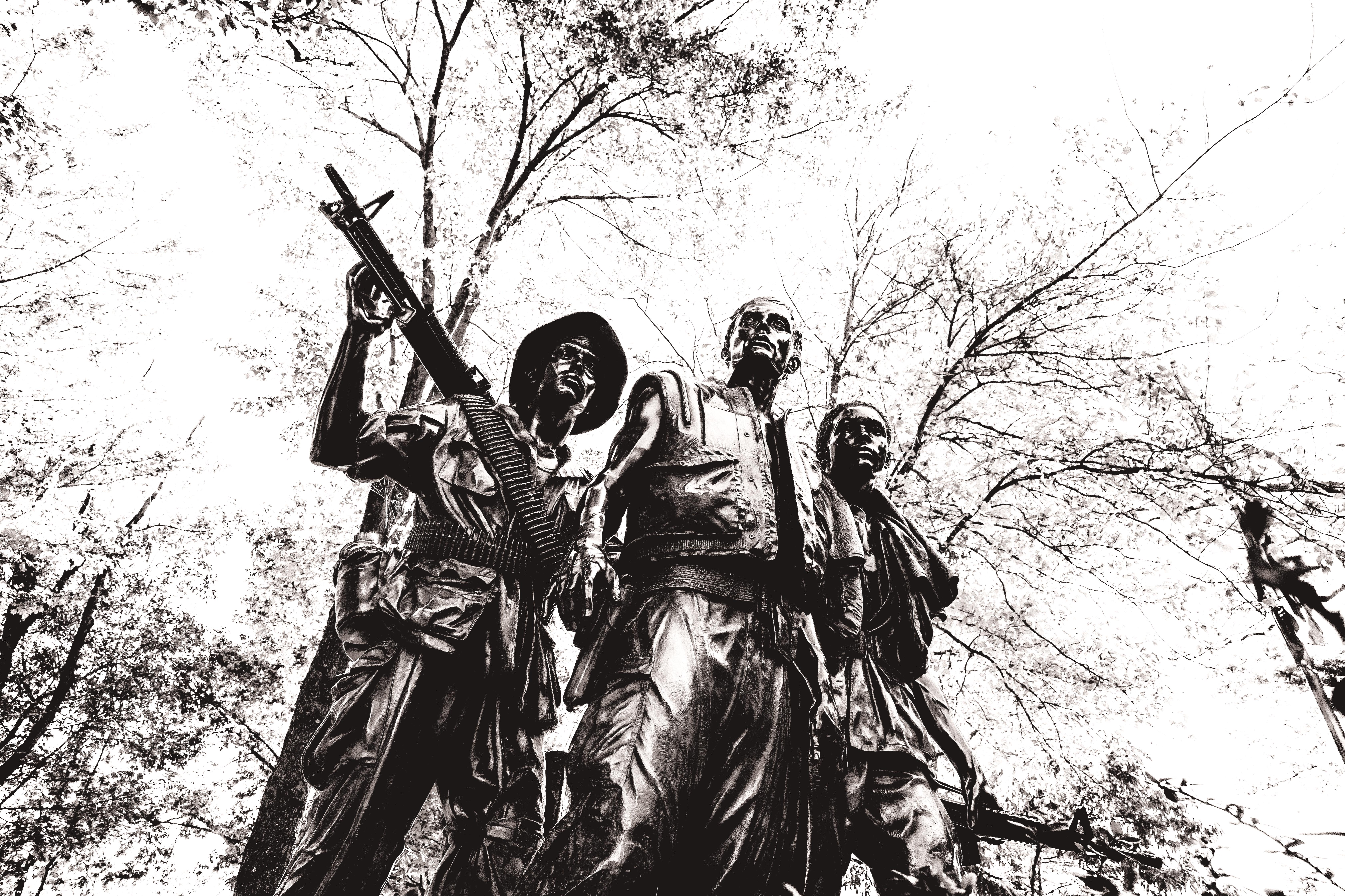 The Vietnam Vet B