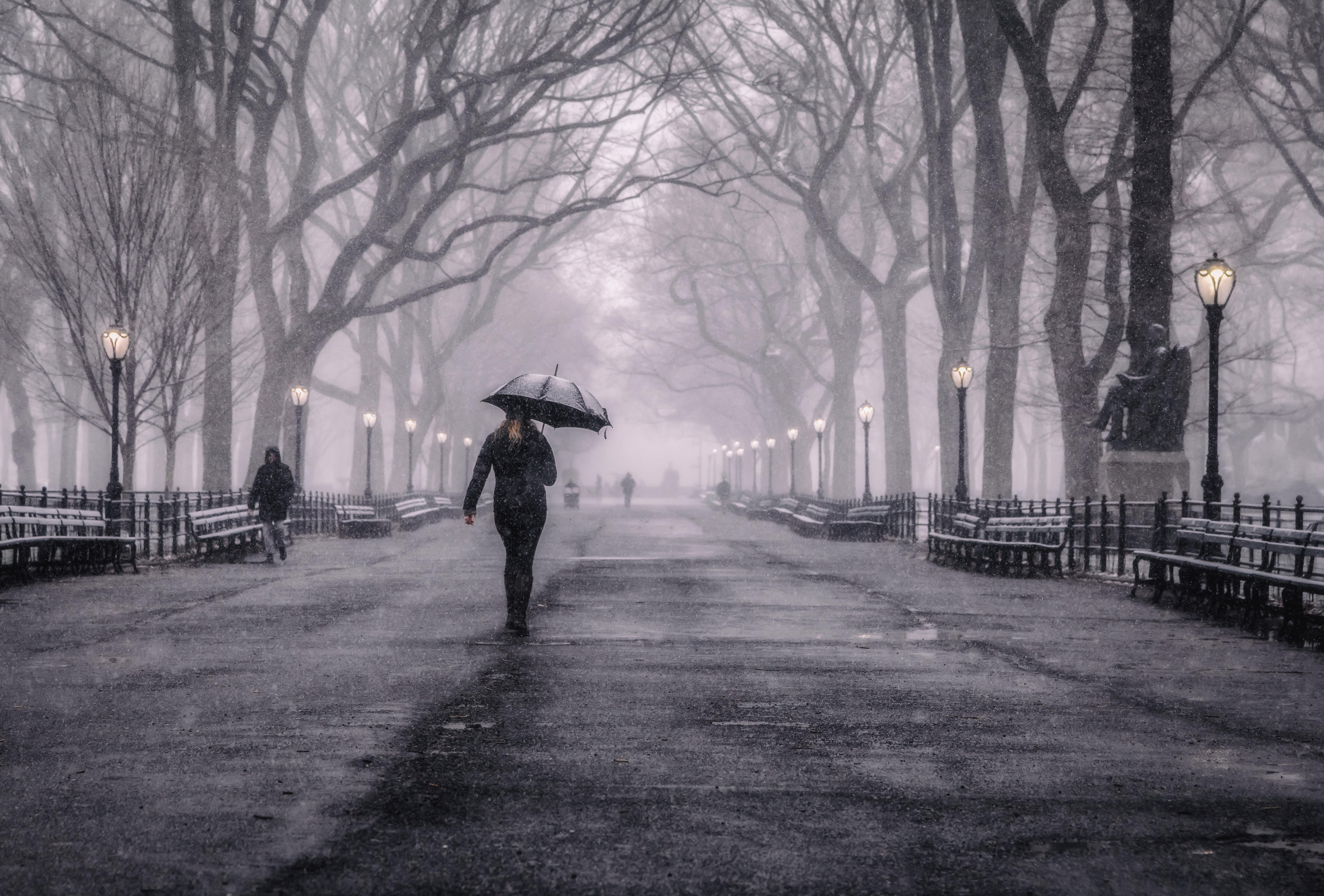 Central Park Snow 4 A