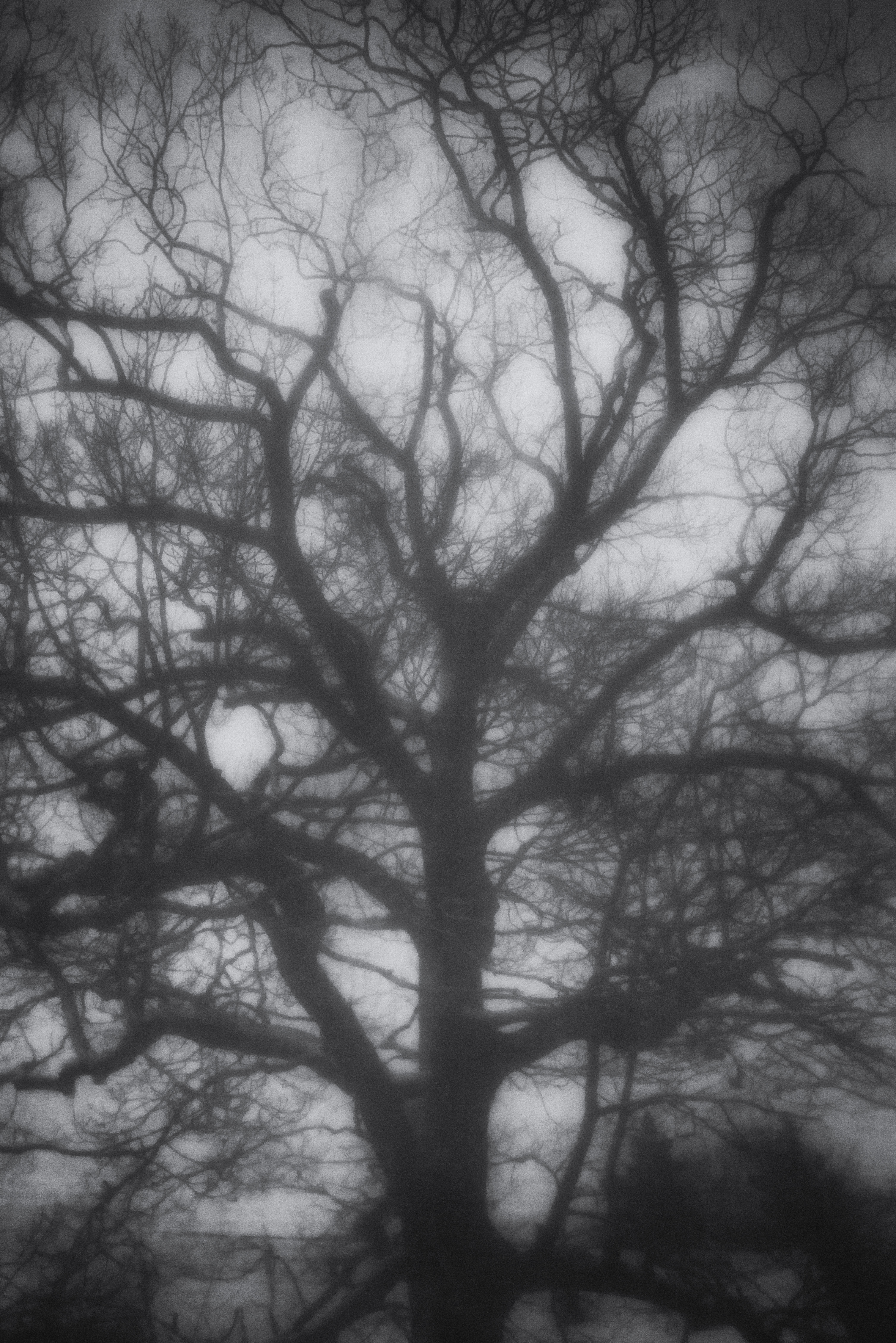 Fading B