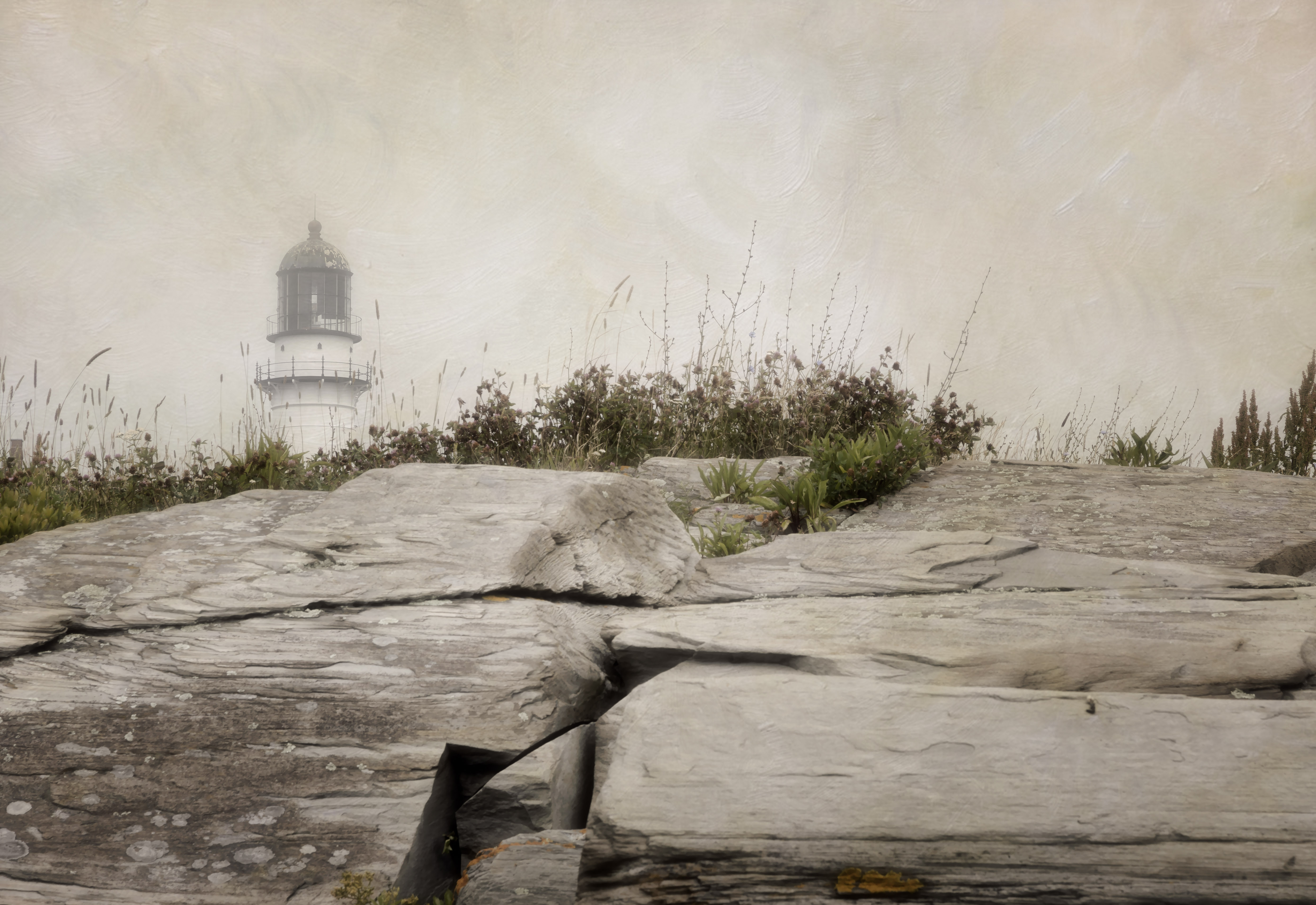 Overlook T