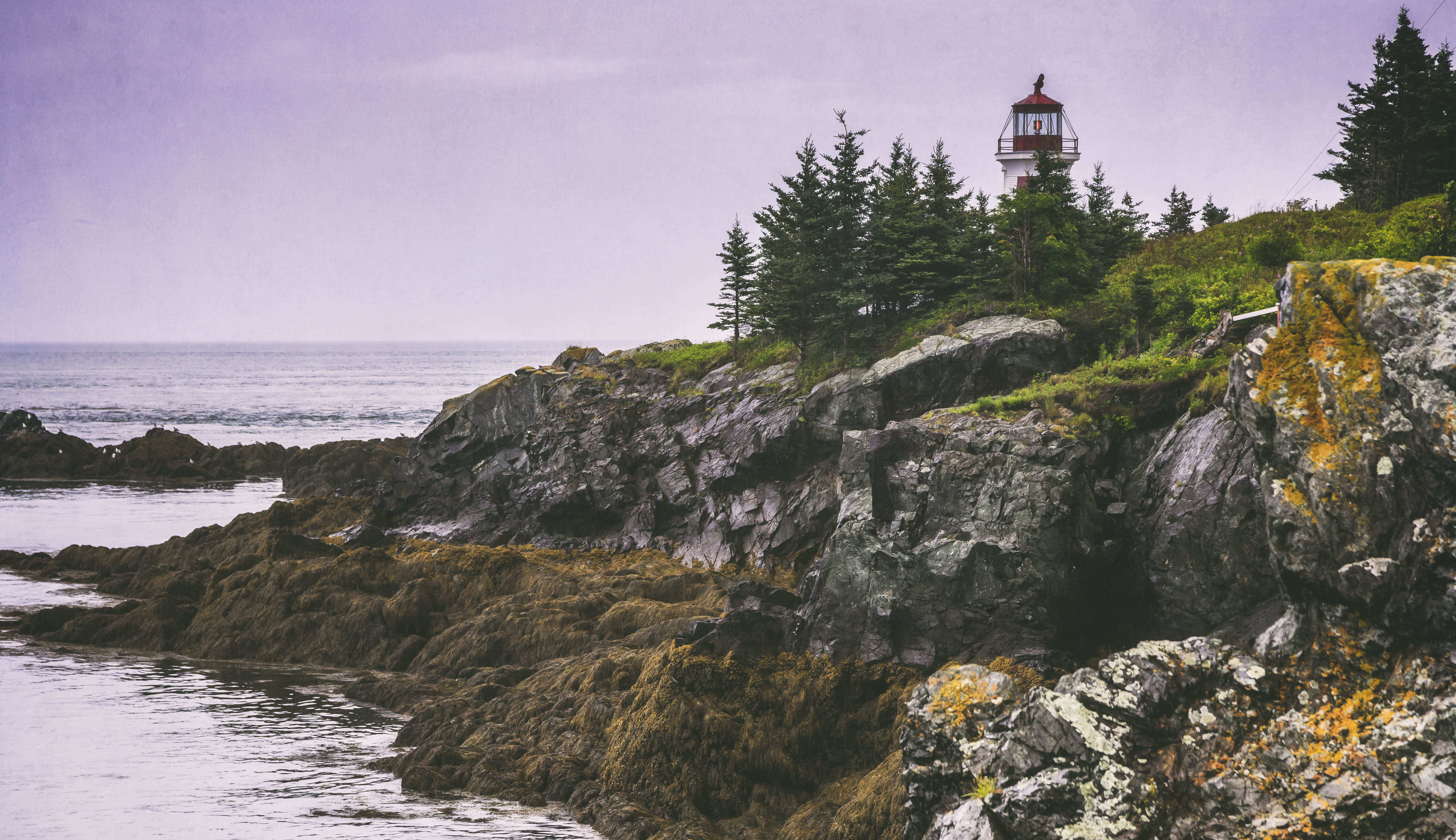 Head Harbour Light Station A T