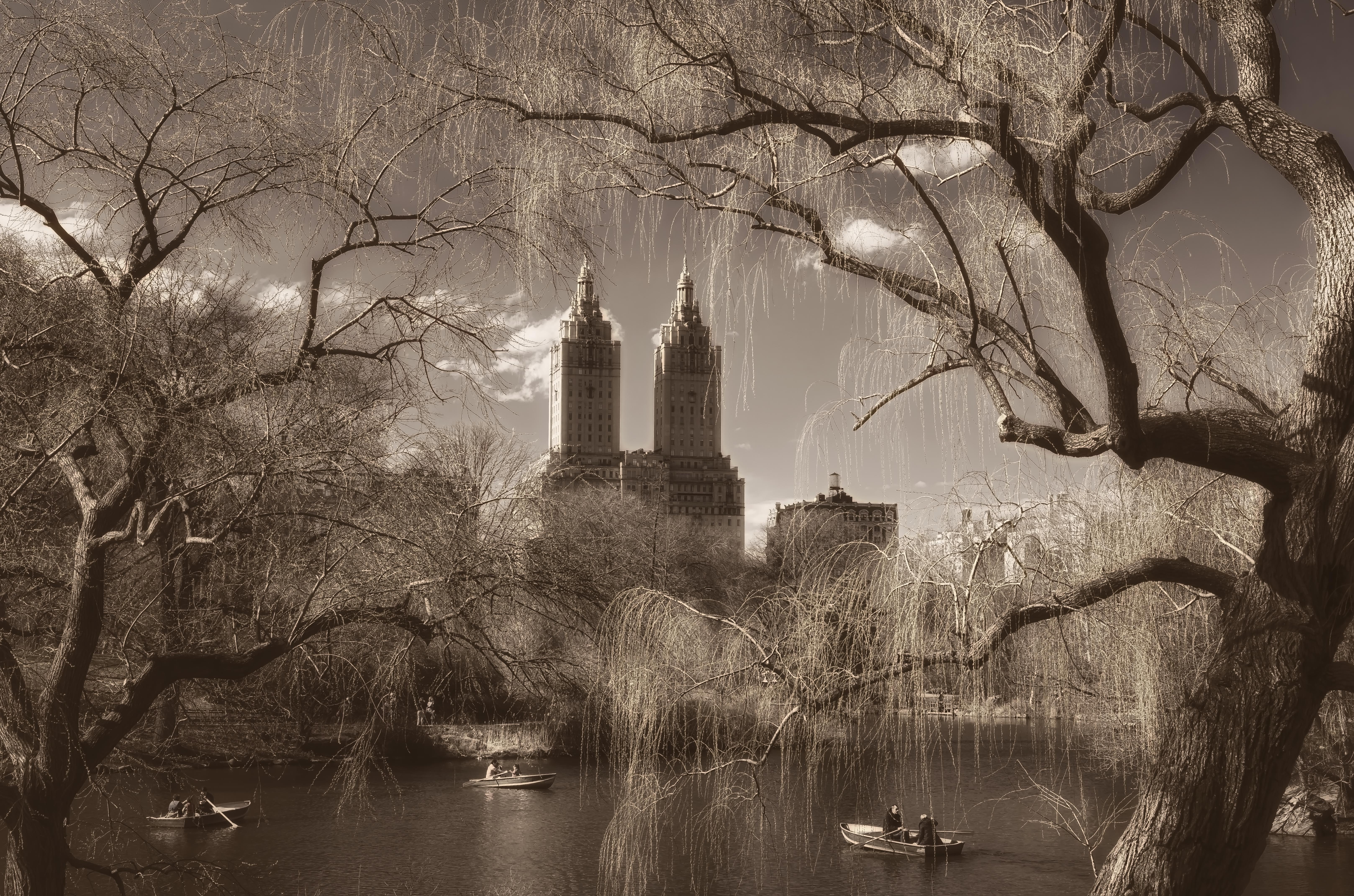 A row in the park O