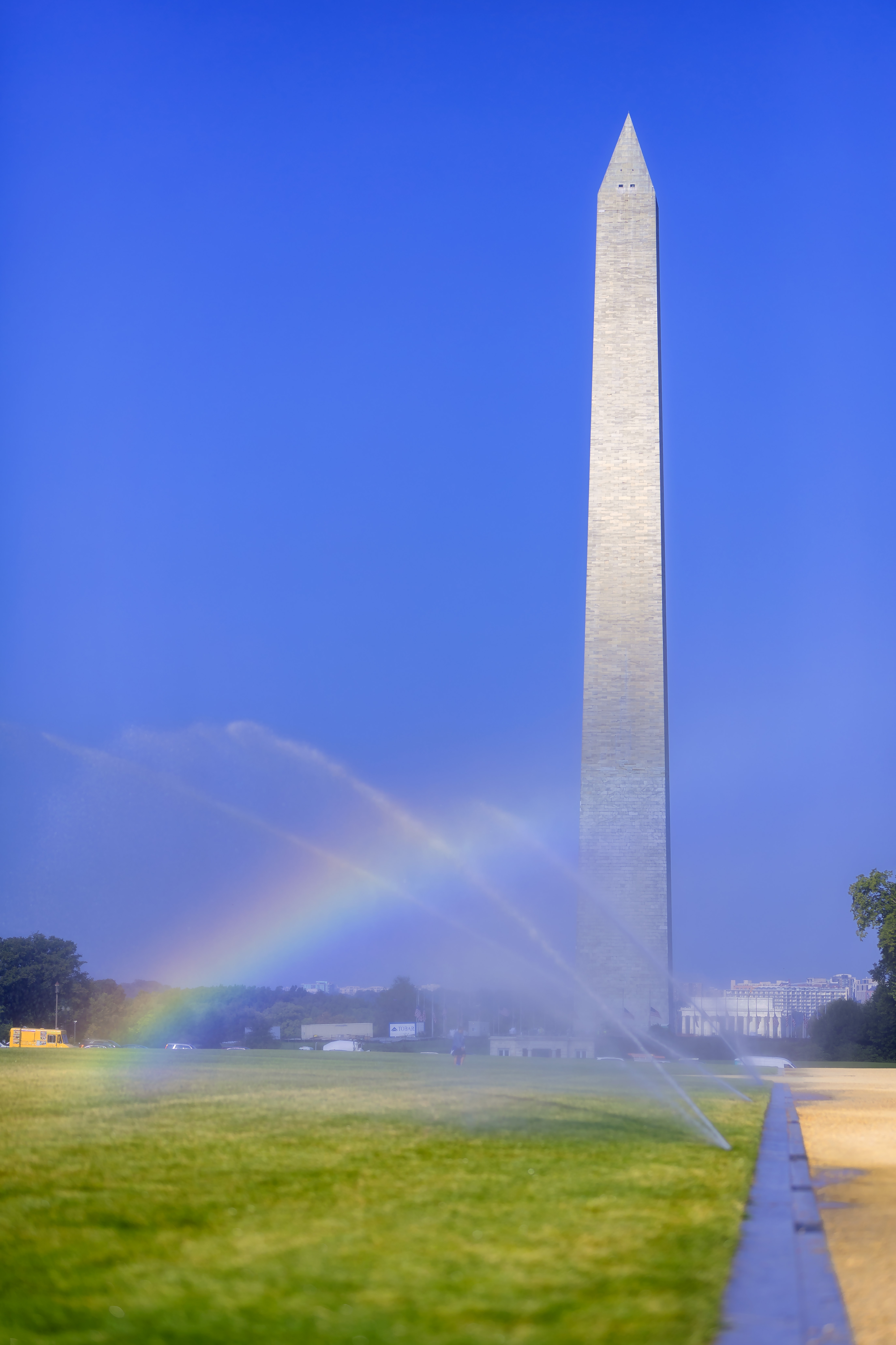 Sprinkles and rainbows 2