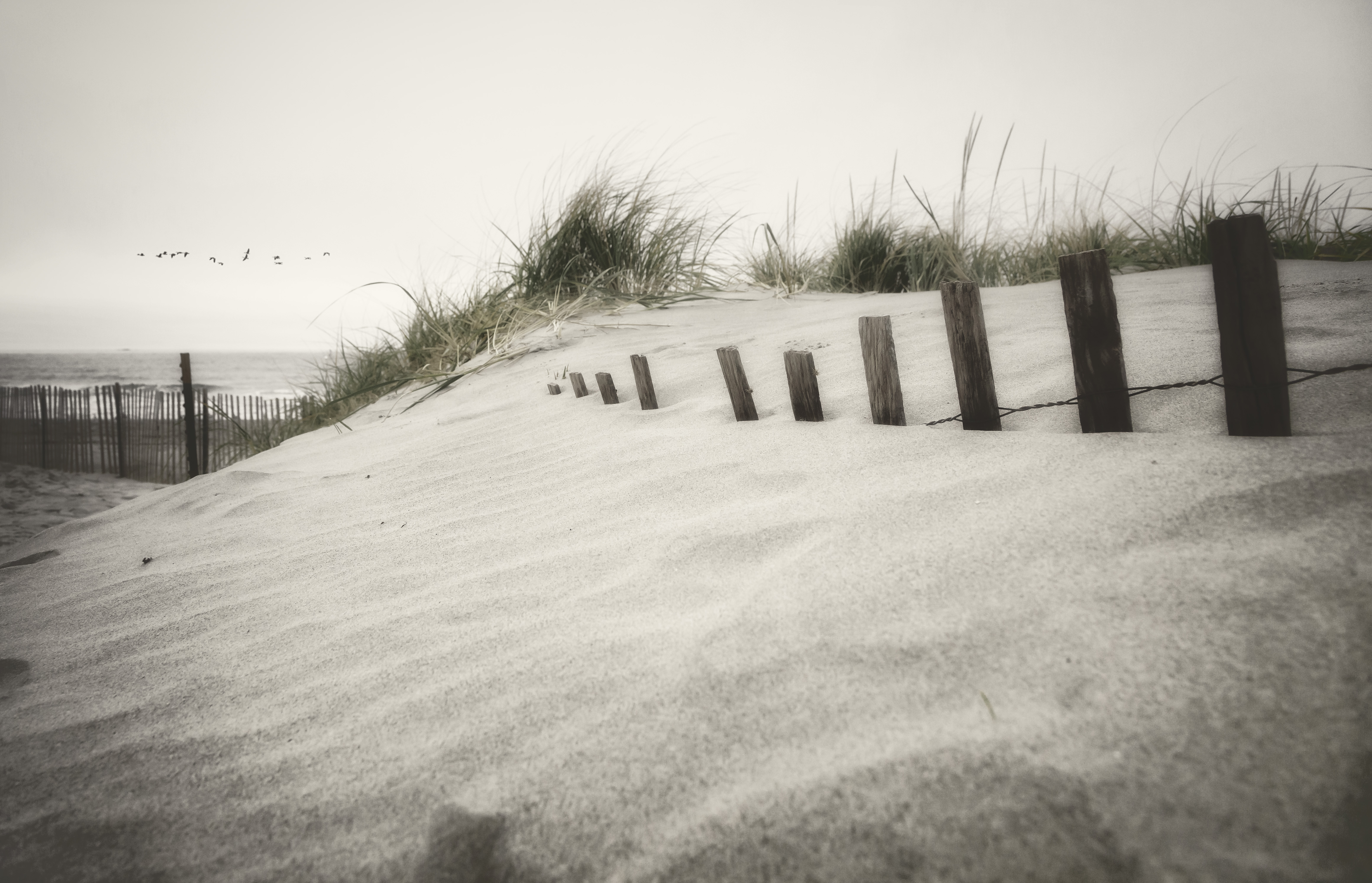 More dunes 3A2D F