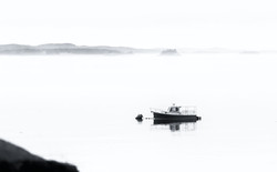Still of the Morning 2