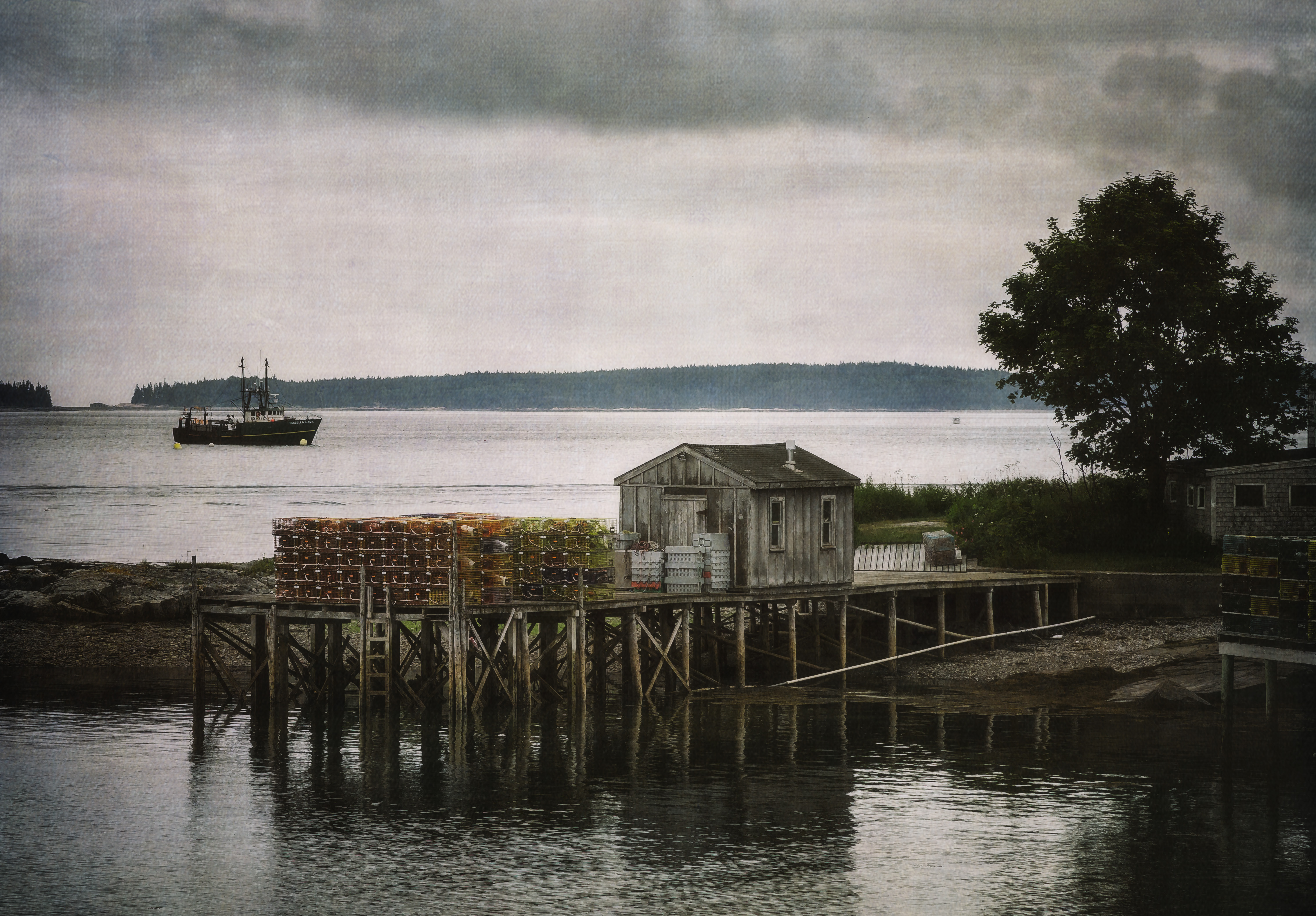 Harborside C A T