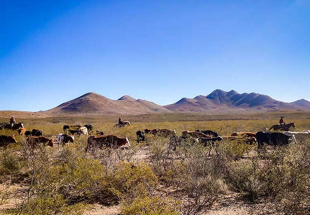 Tombstone Monument Ranch