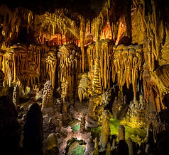 Arizona-Sonora Desert Museum