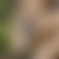 Why I’ll Wear My Garmin Epix Pro 2 Even at My Wedding