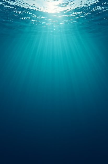 Answer_Trap_Rip_Current_15.6x23.6cm_300DPI - No writing.png