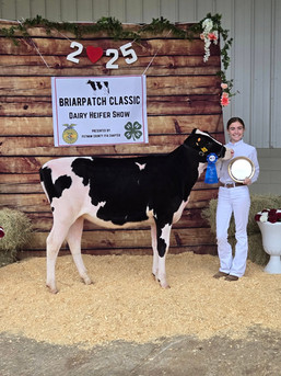 Anna Sneed - Jones County 4-H - Georgia Dairy Youth Foundation Vice President - Georgia 4-H commercial dairy heifer show