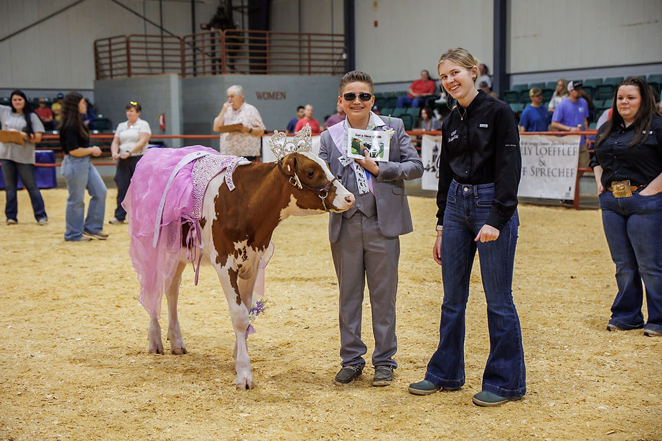 Georgia dairy youth foundation hosts a costume contest called dress-a-cow for the GA 4-H and GA FFA commercial dairy heifer show exhibitors