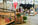 show supplies like pitchforks and brooms for the GA 4-H/FFA commercial dairy heifer show program