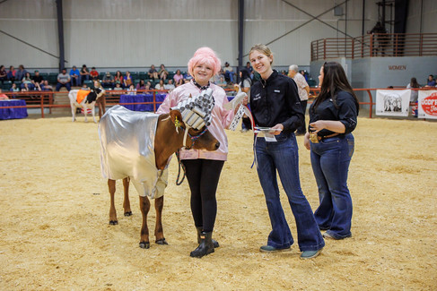 Georgia dairy youth foundation hosts a costume contest called dress-a-cow for the GA 4-H and GA FFA commercial dairy heifer show exhibitors