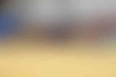 2025 GA National Fair Georgia Dairy Youth Foundation Costume Contest