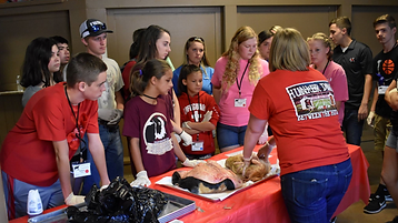2018 GDYF slide show of GA Dairy Youth Activities 1 (74) 600.PNG
