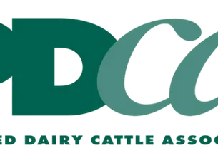 purebred dairy cattle association scorecard