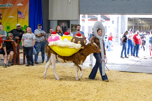 2025 GA National Fair Georgia Dairy Youth Foundation Costume Contest