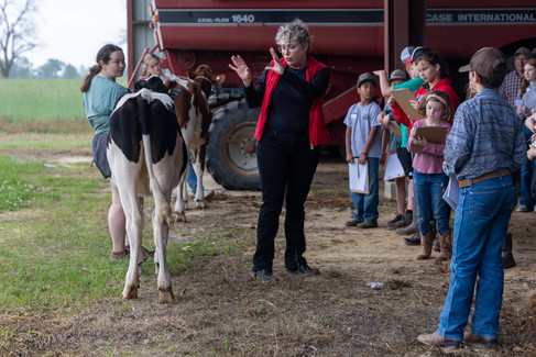 dairy judging clinic provided by Dr. Knowlton of Virginia Tech