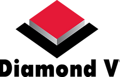 DV Logo_Vert_NOTagline_RGB (1).png