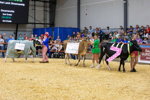 2025 GA National Fair Georgia Dairy Youth Foundation Costume Contest