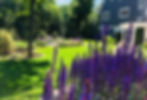 Landscaping with Plants