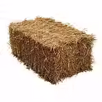 straw.avif