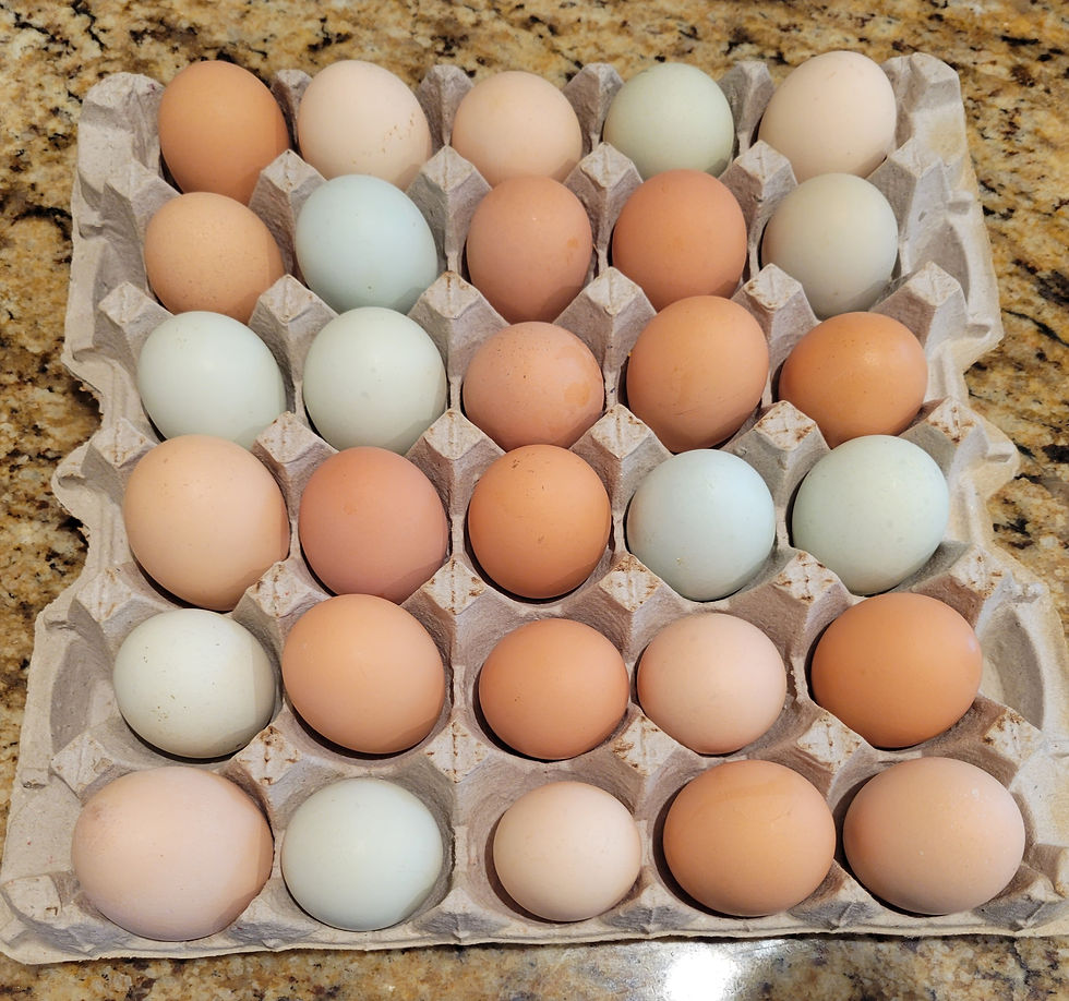 Flat open top- 30 eggs