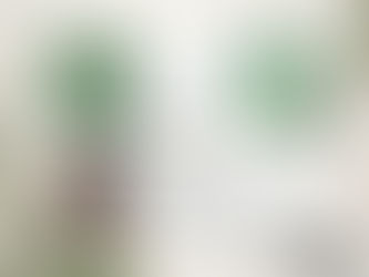 「ミヅハシリーズカタログ」1月16日（月）注文開始！