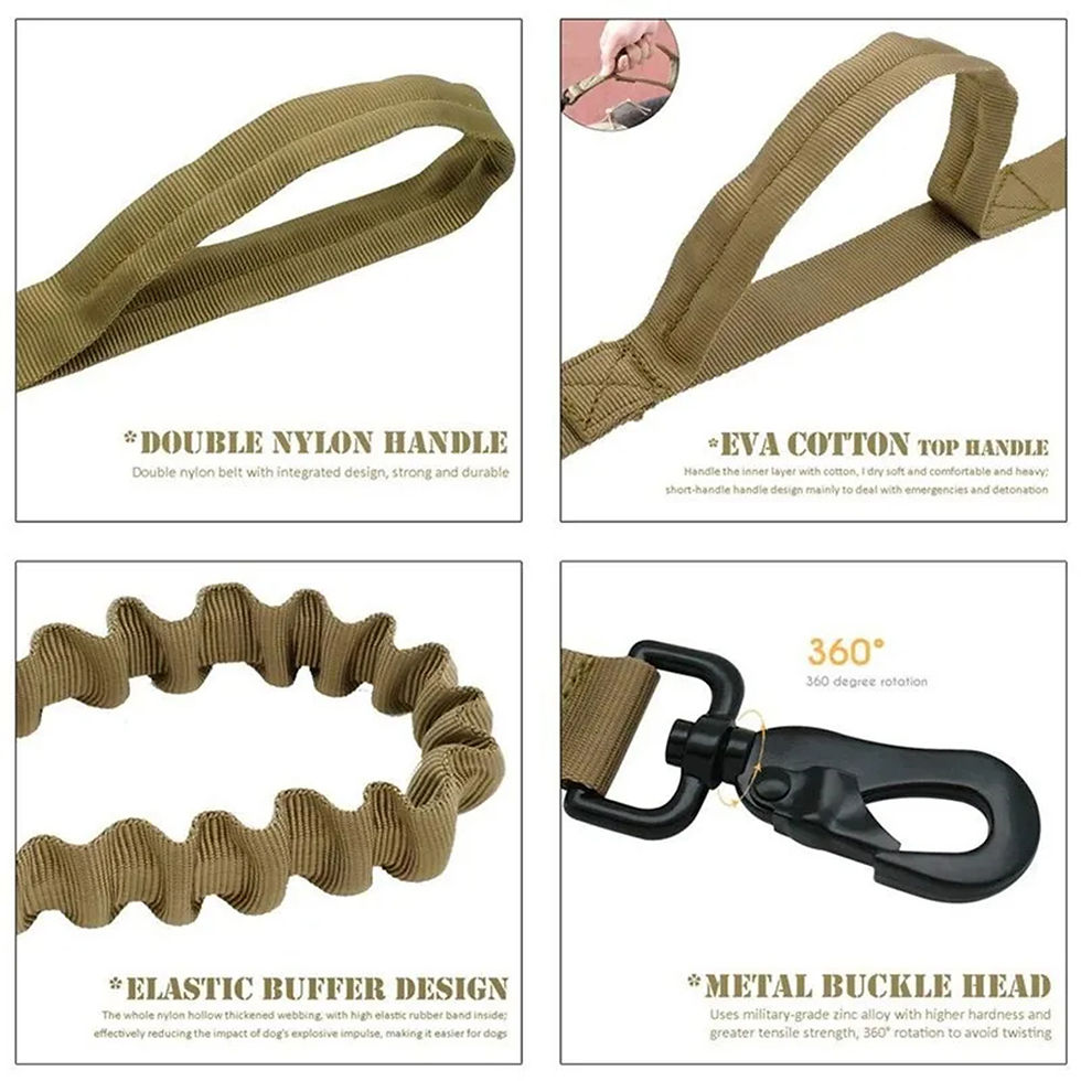 Thumbnail: Tactical Bungee Dog Lead
