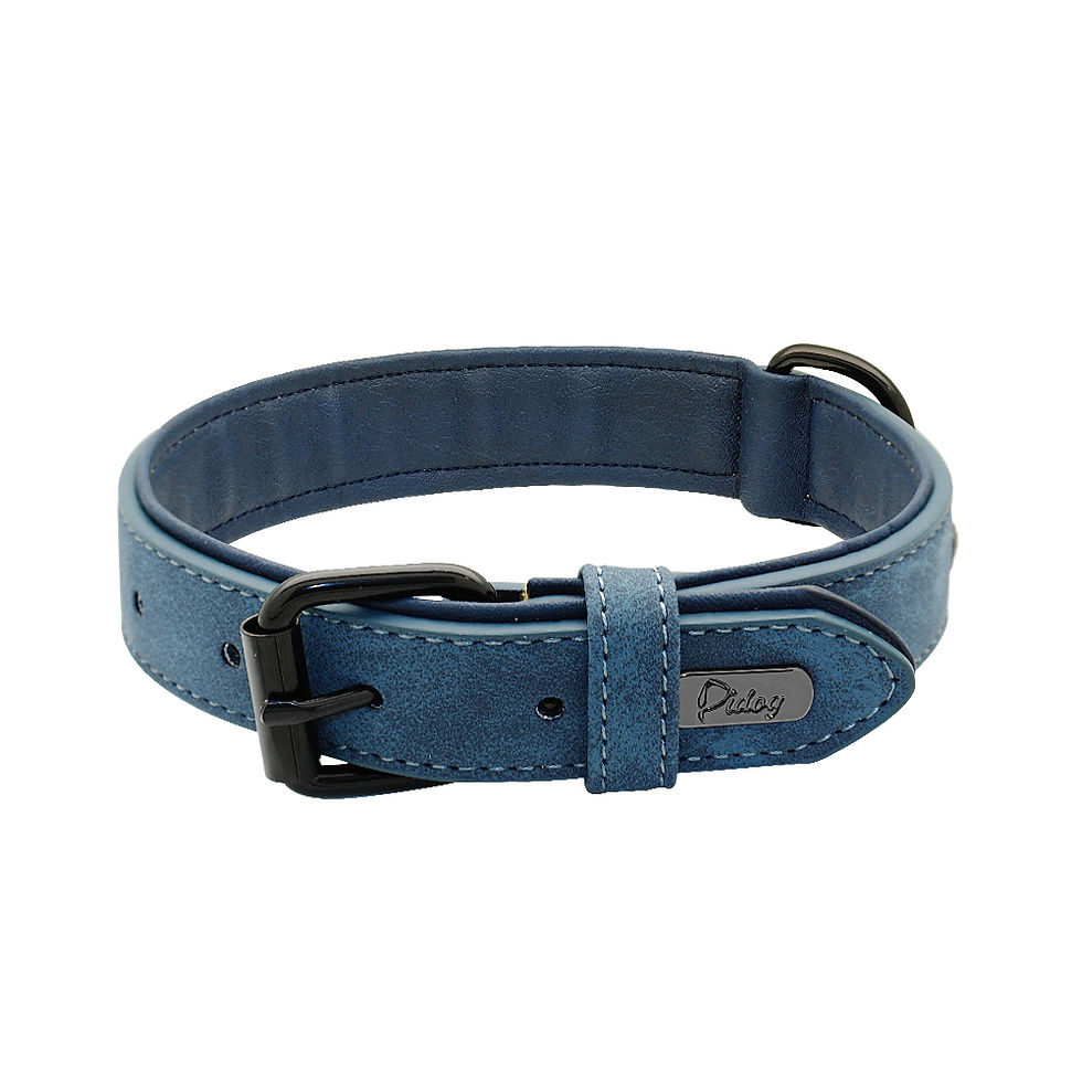 Thumbnail: Large Padded Leather Dog Collar – Durable, Adjustable for Big Dogs